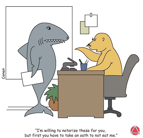 Shark Week Friday2 Oath resized